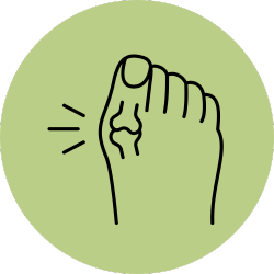 Bunion Friendly
